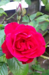 2016-06-03 20.40.31 (2)