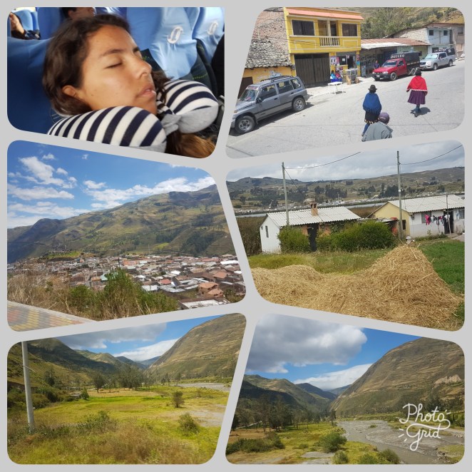 PhotoGrid_1501362035261