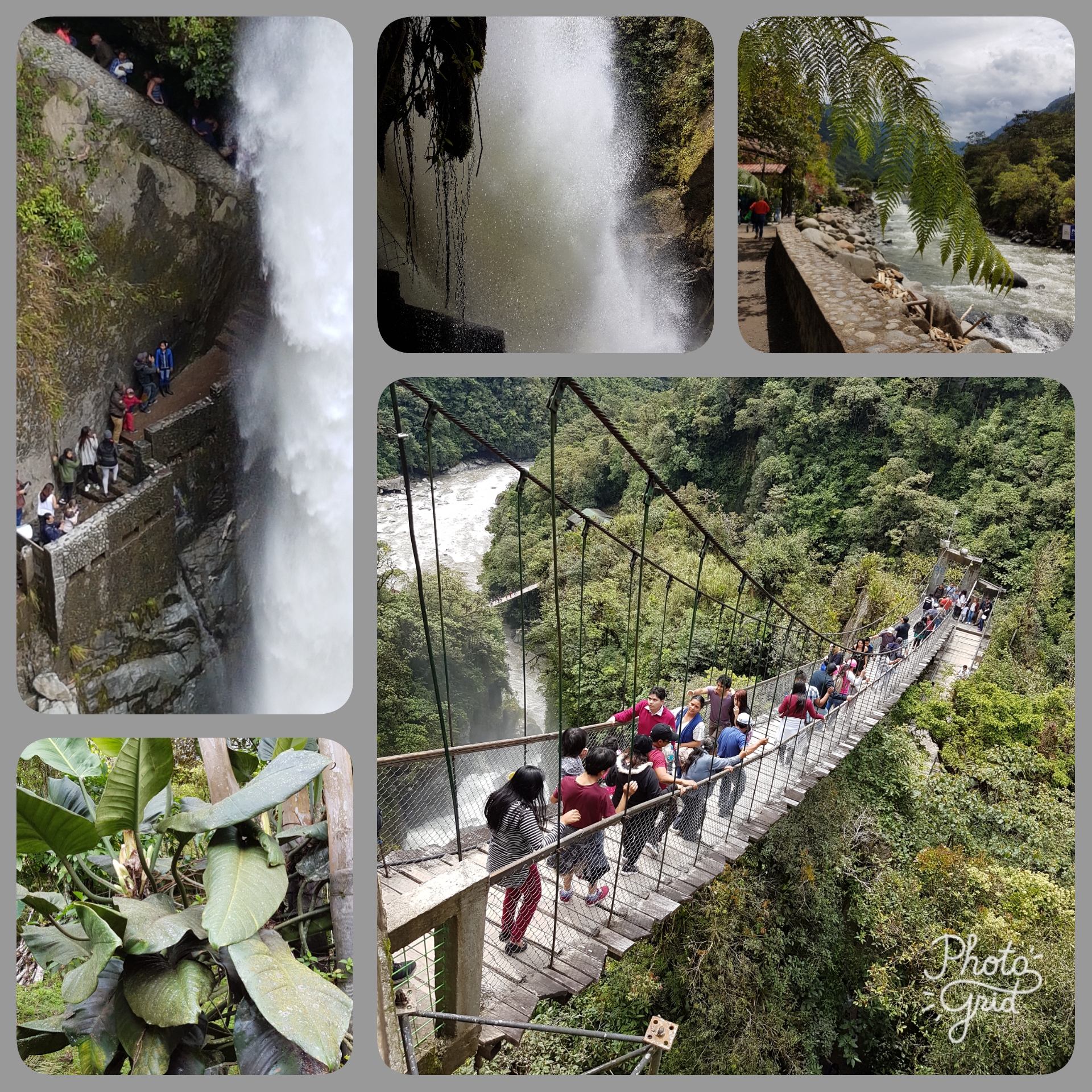 PhotoGrid_1501702615932[1]